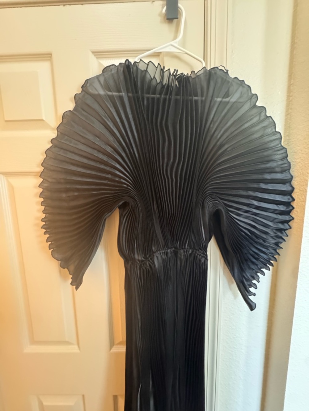Pleated Long Dress With Organza Pleated Cape Sleeves In Black - Picture 4 of 7